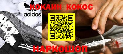 индика Новозыбков