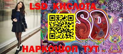 индика Новозыбков