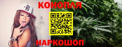 индика Новозыбков