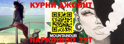 индика Новозыбков