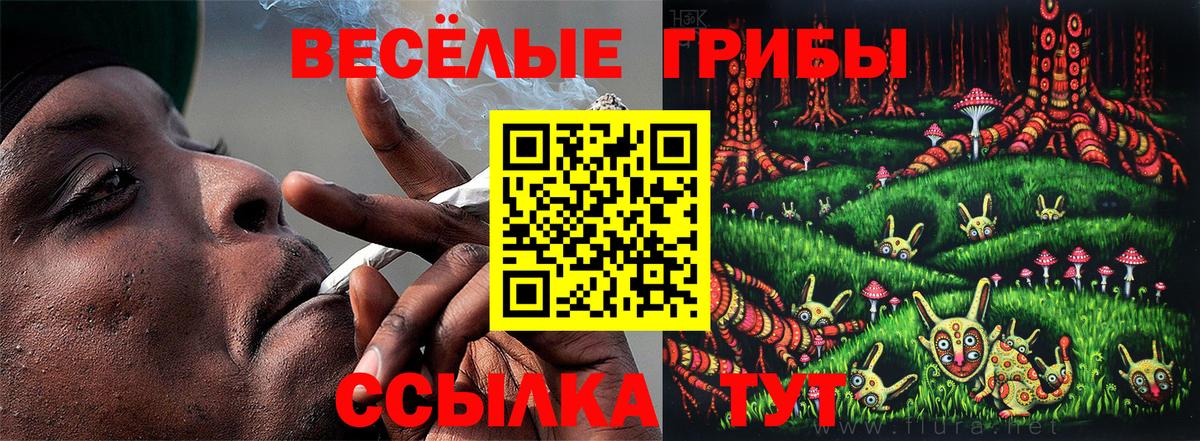 Псилоцибиновые грибы мицелий  Вход с VPN  Омск  Галлюциногенные грибы прущие грибы 
